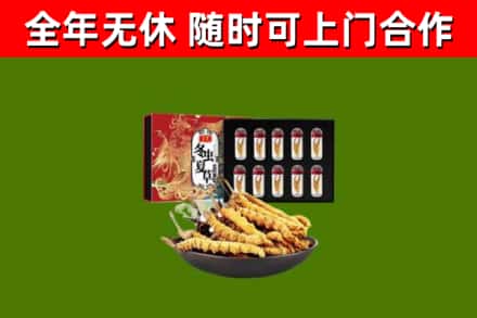 临邑烟酒回收冬虫夏草礼盒.jpg